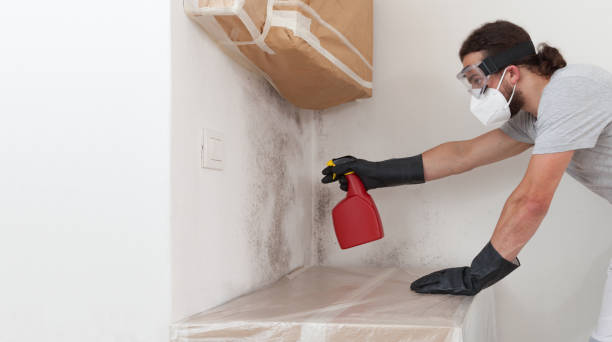 Professional Bathroom Mold Removal technician working in Lansdale, PA